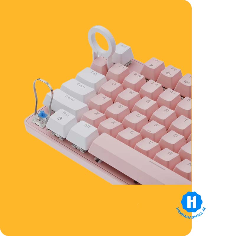 کیبورد مخصوص بازی فاکس ری مدل FXR-HKM-68