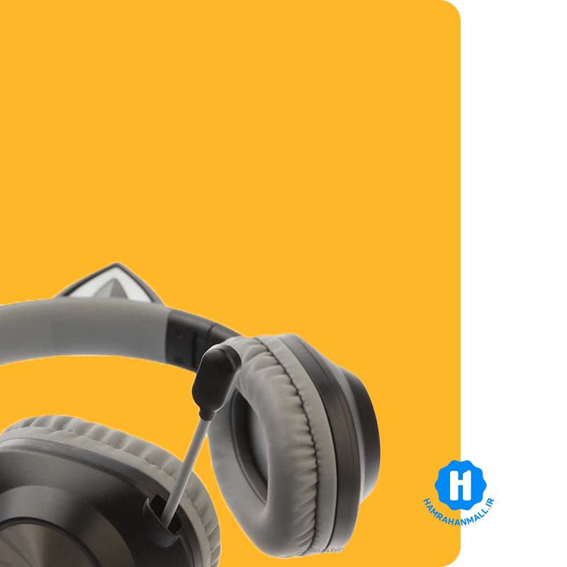 هدفون با سیم فاکس ری مدل FXR-BAL-62 رنگ مشکی