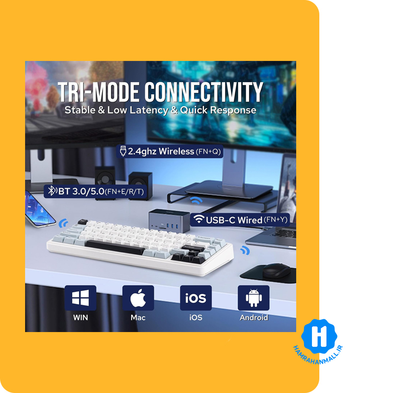 کیبورد گیمینگ سیم دار آئولا مدل AULA F65 Mechanical (رنگ کلید سفید / آبی / مشکی) سوئیچ Green